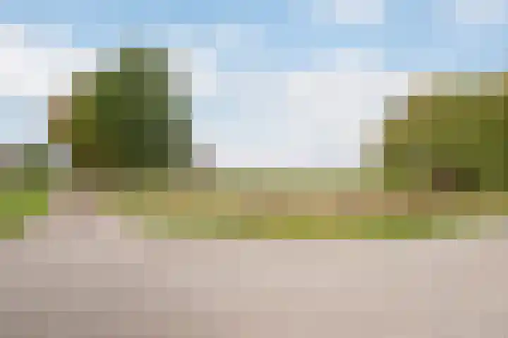 Hogeweg 67 Sint-Maartensdijk thumbnail 53