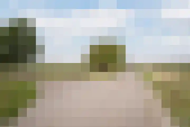 Hogeweg 67 Sint-Maartensdijk thumbnail 54