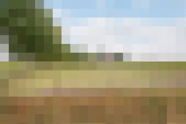 Hogeweg 67 Sint-Maartensdijk thumbnail 55