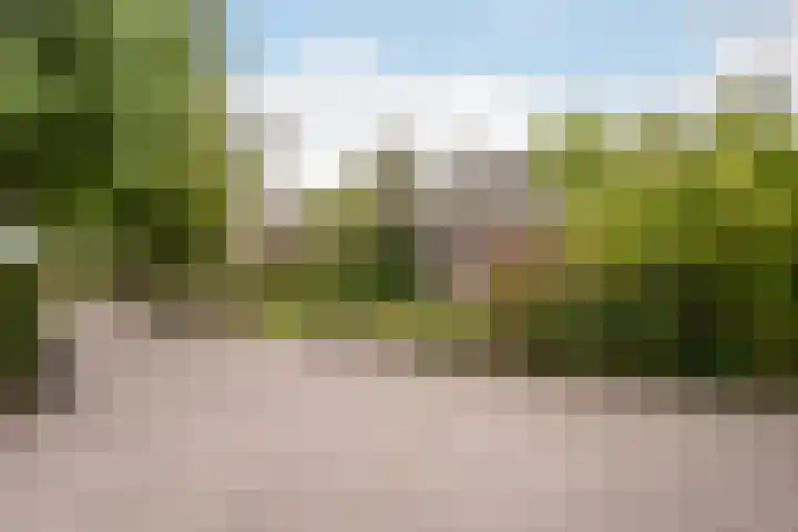 Hogeweg 67 Sint-Maartensdijk thumbnail 56