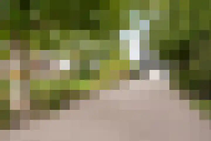 Hogeweg 67 Sint-Maartensdijk thumbnail 57