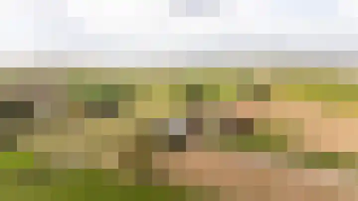 Hogeweg 67 Sint-Maartensdijk thumbnail 61