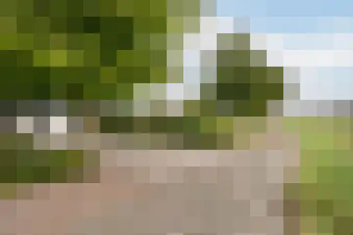 Hogeweg 67 Sint-Maartensdijk thumbnail 9