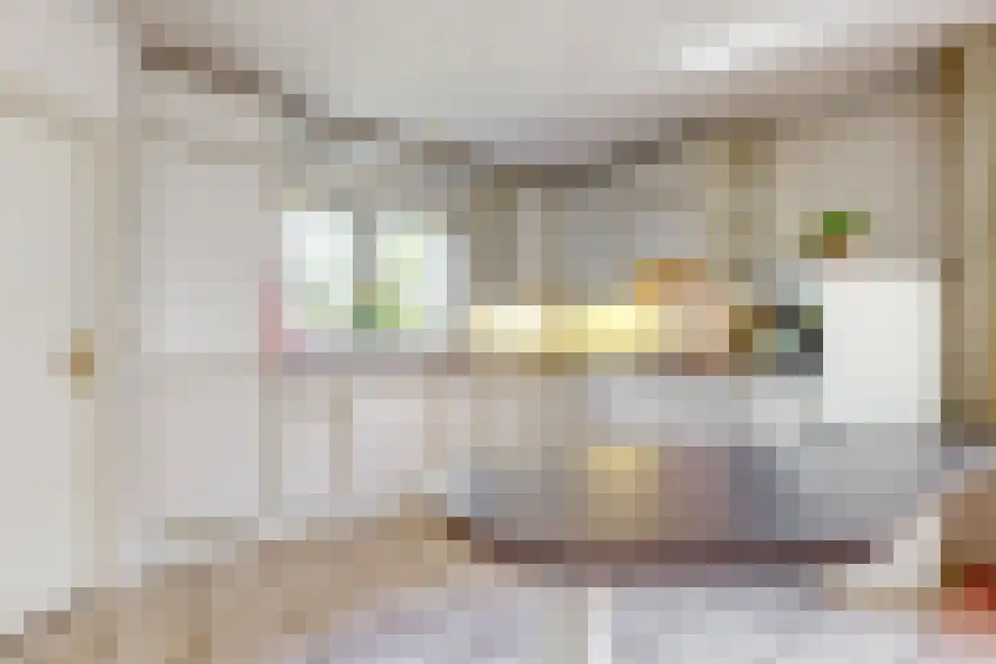 Hogeweg 68 Limmen thumbnail 17