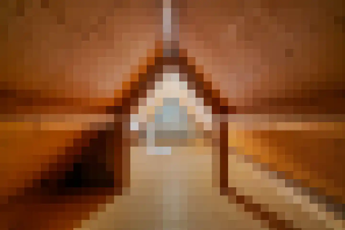 Hogeweg 68 Limmen thumbnail 36
