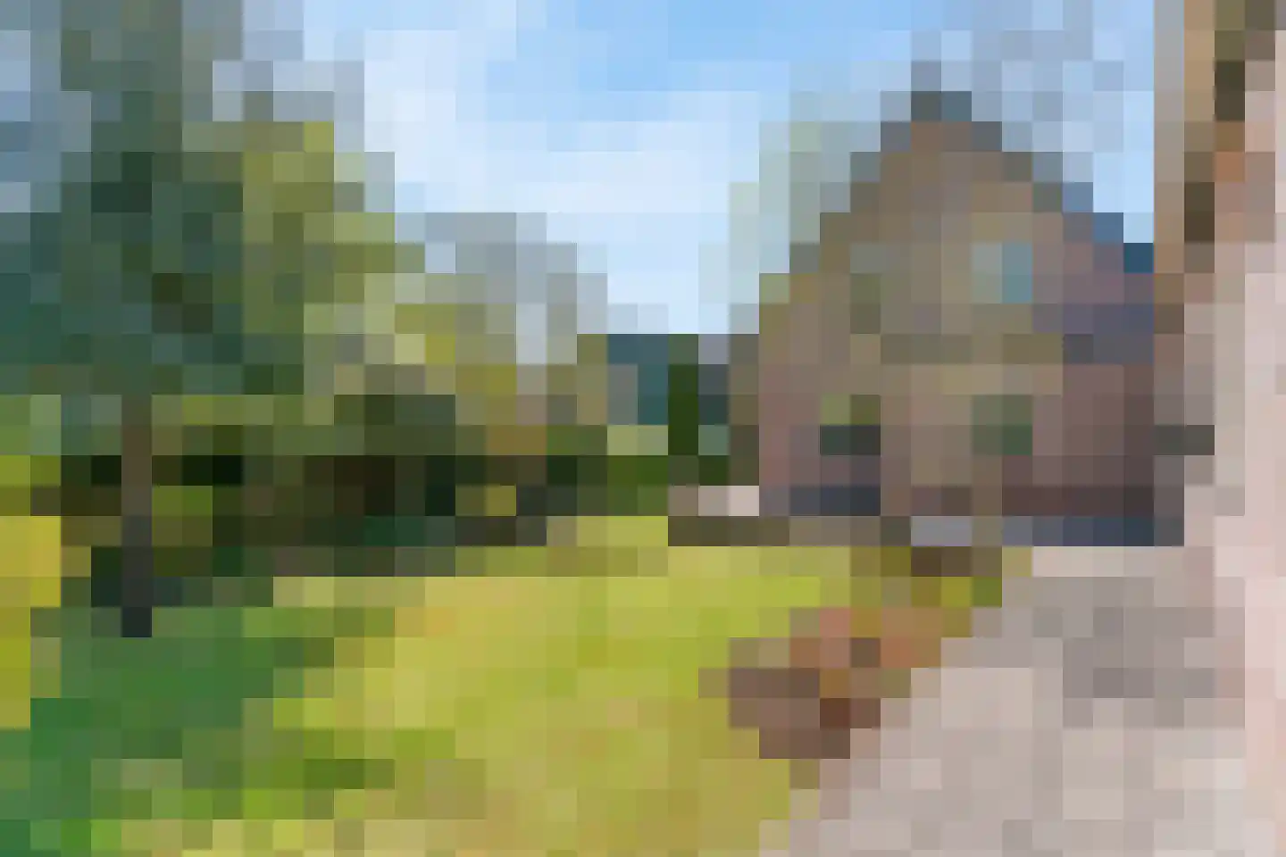 Hogeweg 68 Limmen thumbnail 42