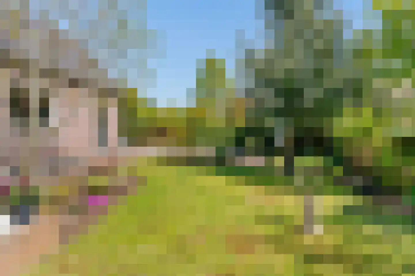 Hogeweg 68 Limmen thumbnail 43