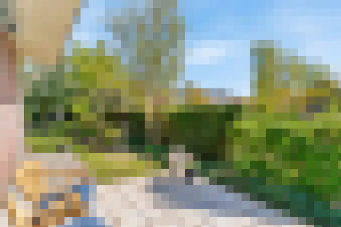 Hogeweg 68 Limmen thumbnail 45