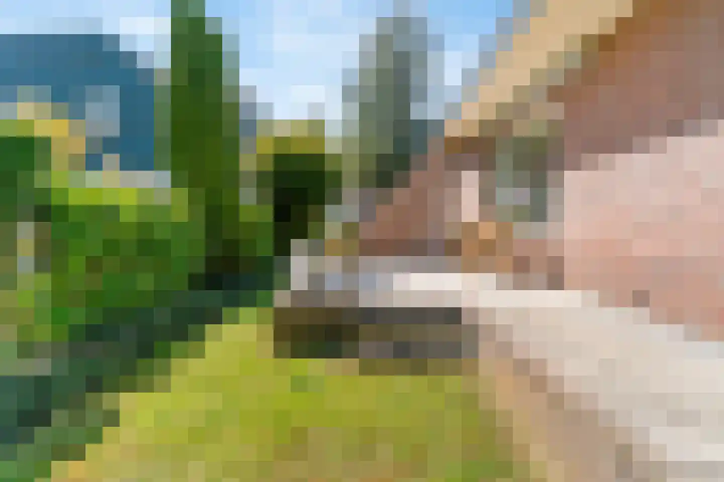 Hogeweg 68 Limmen thumbnail 46