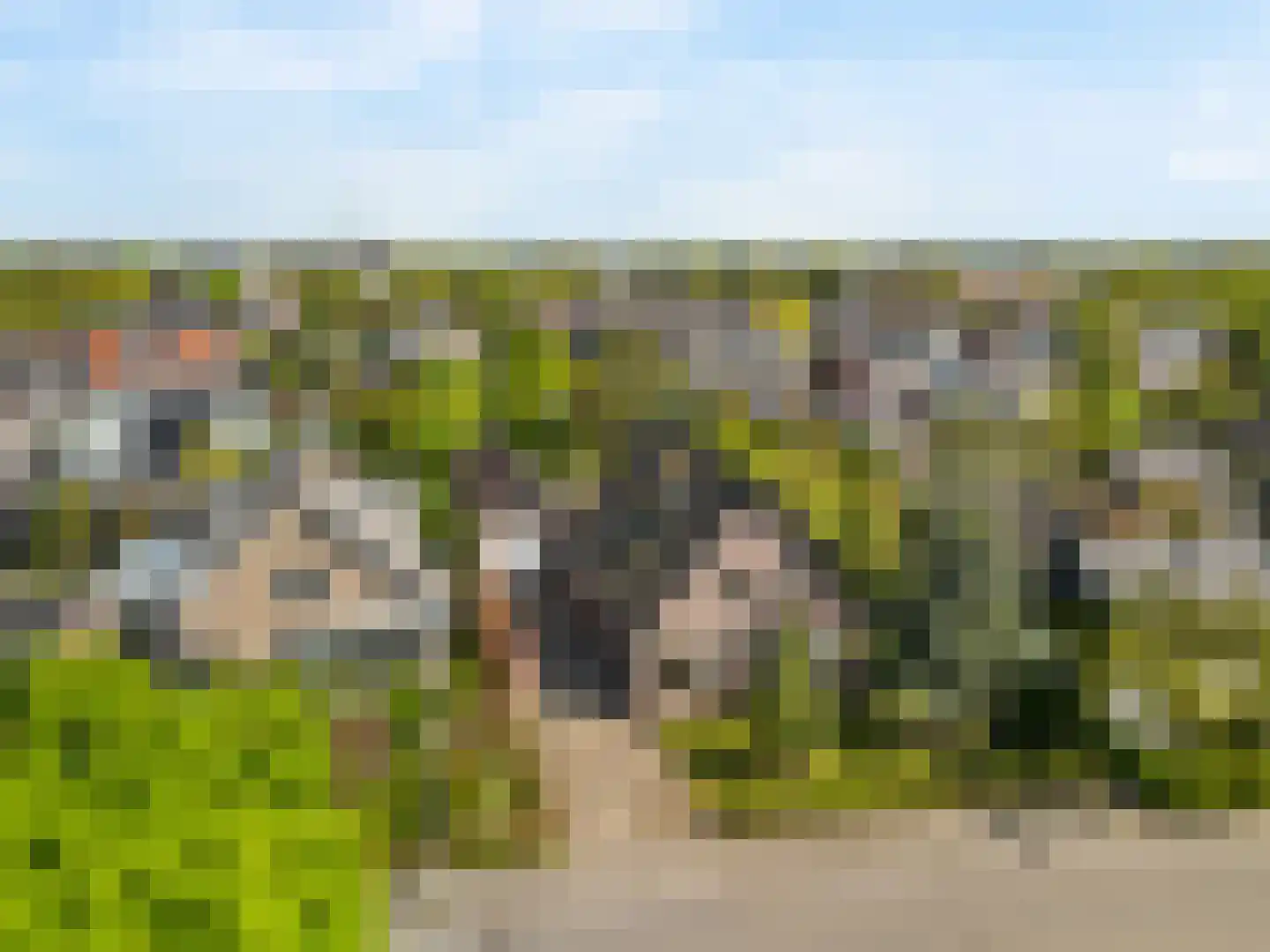 Hogeweg 68 Limmen thumbnail 48