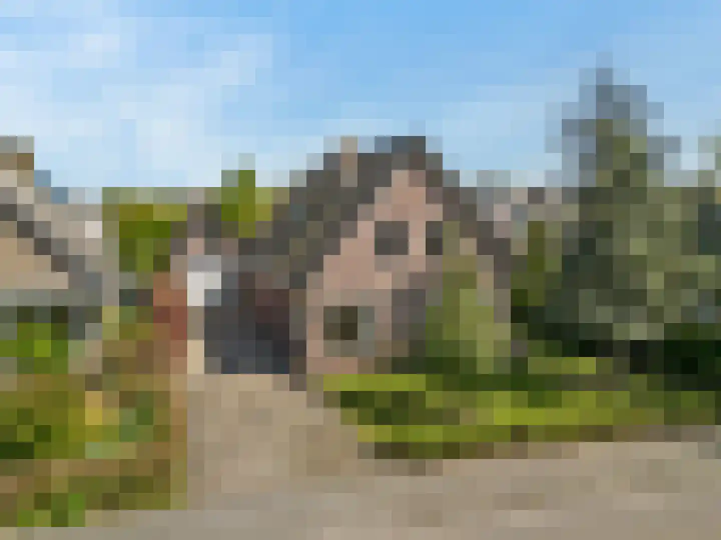 Hogeweg 68 Limmen thumbnail 49