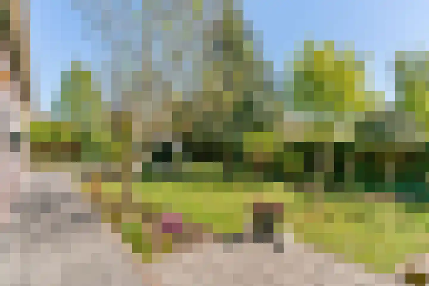 Hogeweg 68 Limmen thumbnail 5