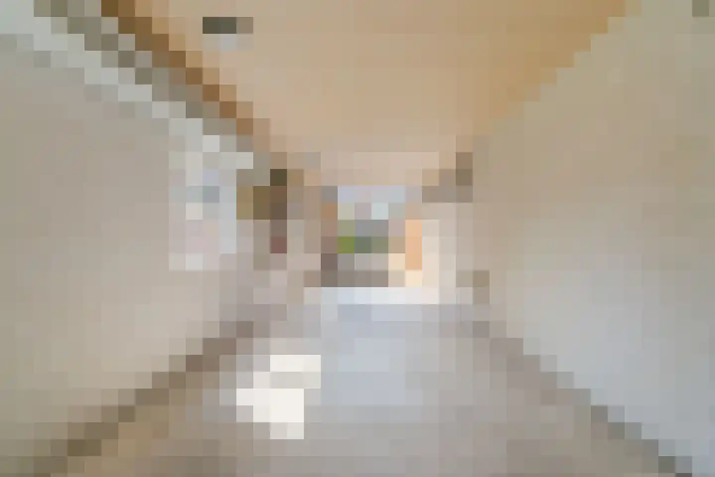 Hogeweg 68 Limmen thumbnail 52