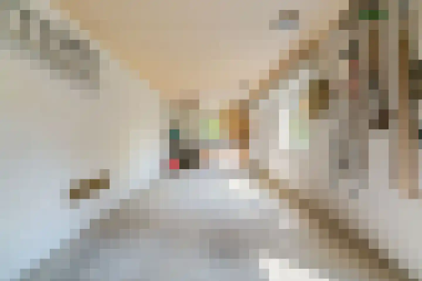 Hogeweg 68 Limmen thumbnail 54