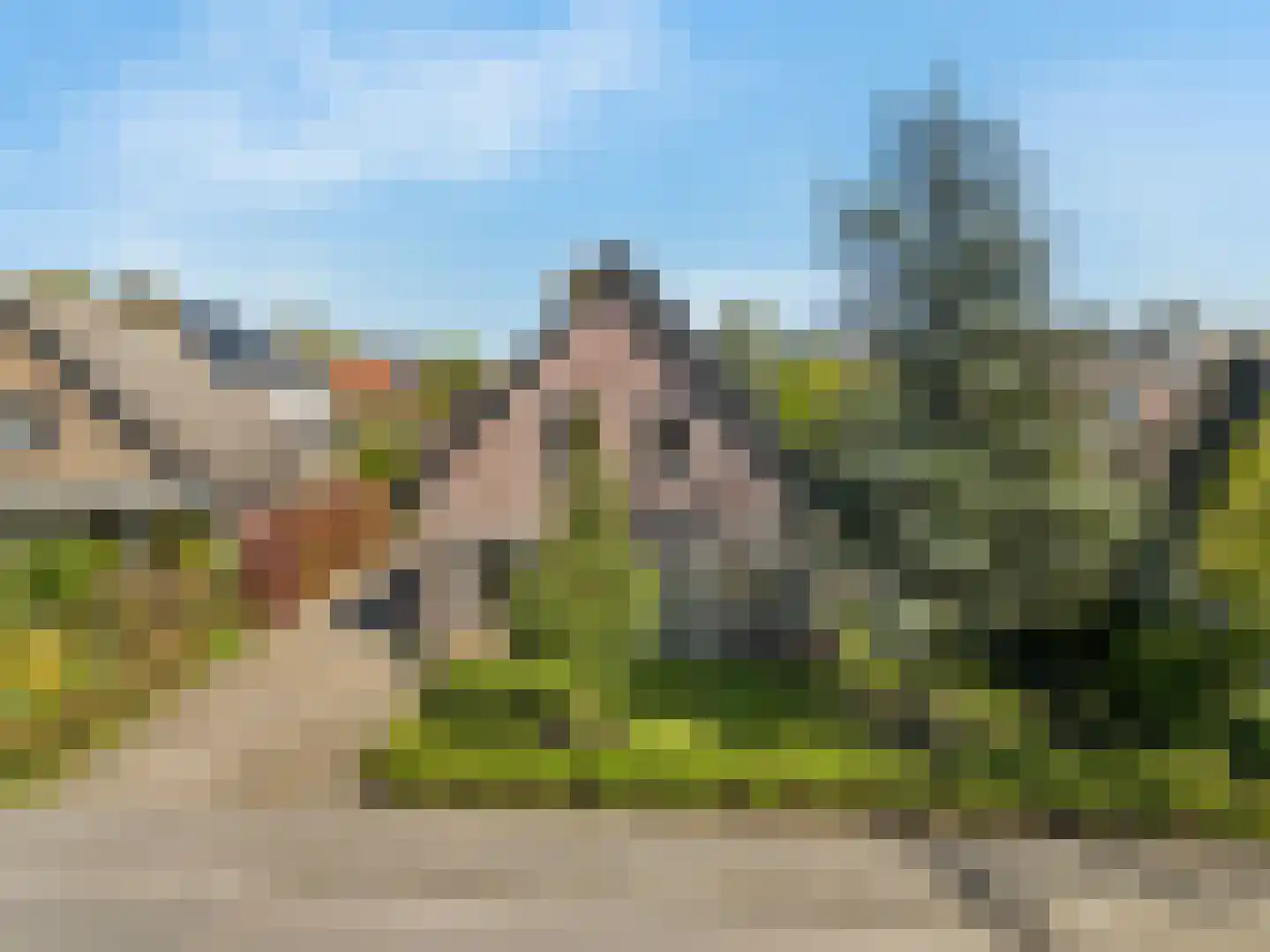 Hogeweg 68 Limmen thumbnail 58