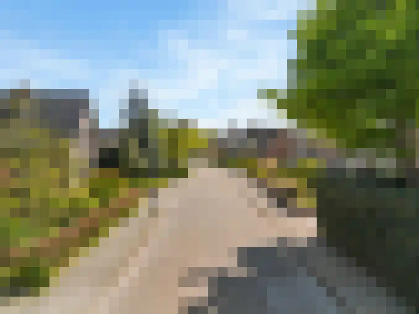Hogeweg 68 Limmen thumbnail 60