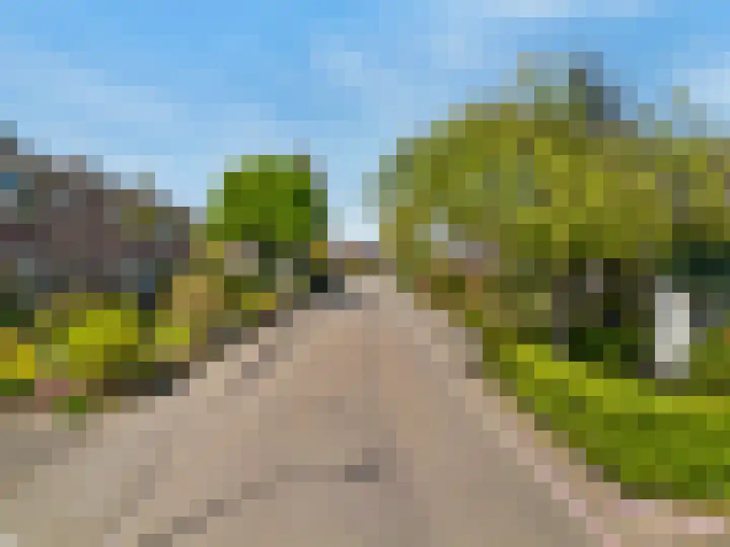 Hogeweg 68 Limmen thumbnail 61