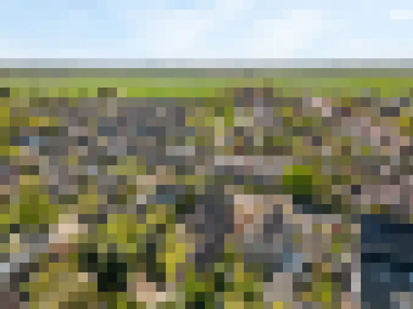 Hogeweg 68 Limmen thumbnail 62