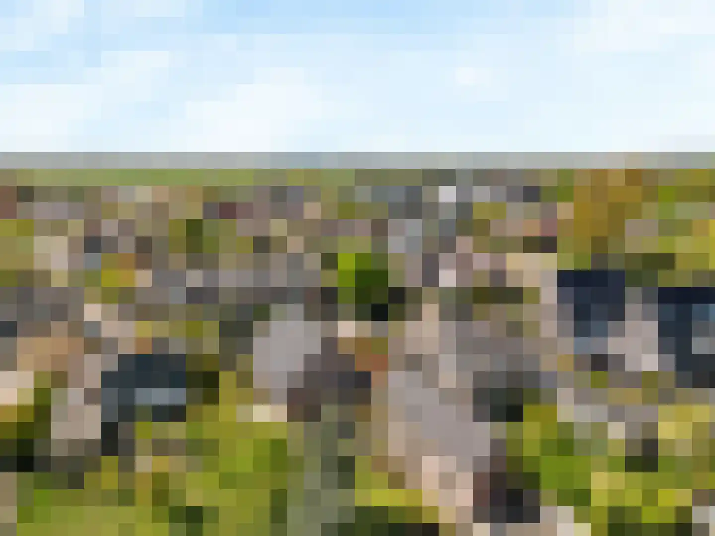 Hogeweg 68 Limmen thumbnail 63