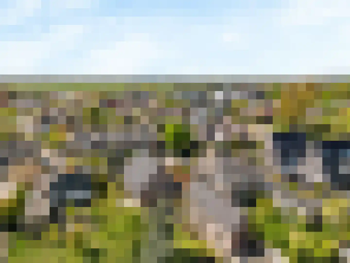 Hogeweg 68 Limmen thumbnail 64