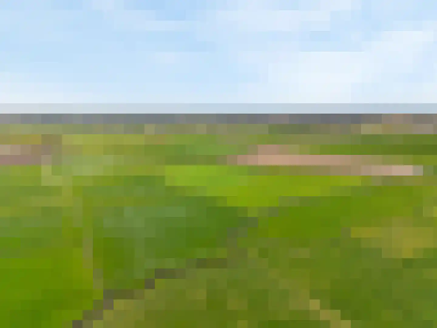 Hogeweg 68 Limmen thumbnail 65
