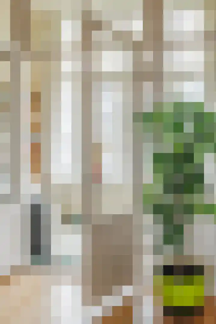 Hogeweg 69 H Amsterdam thumbnail 14