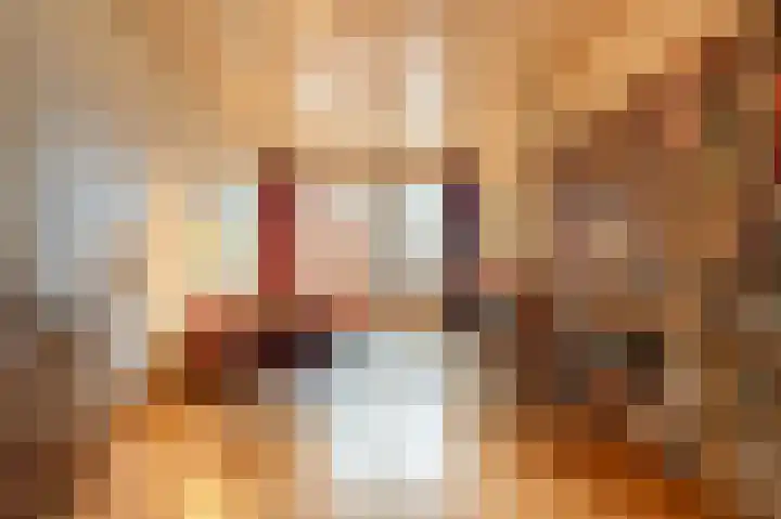Hogeweg 69 H Amsterdam thumbnail 5