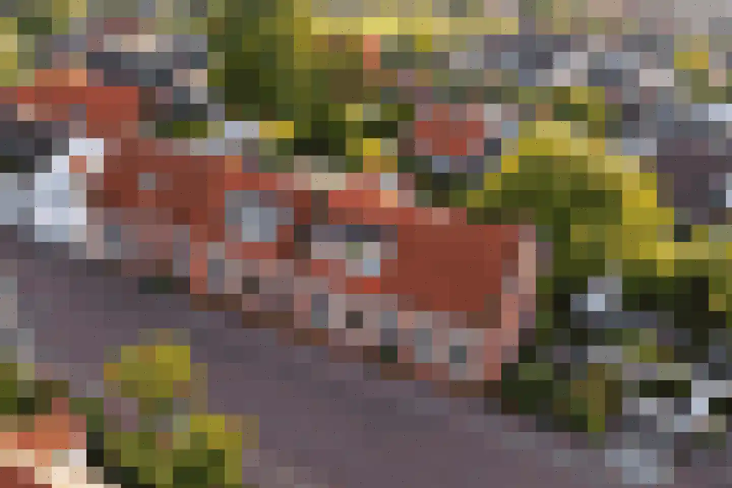 Hogeweg 7 Burgh-Haamstede thumbnail 4