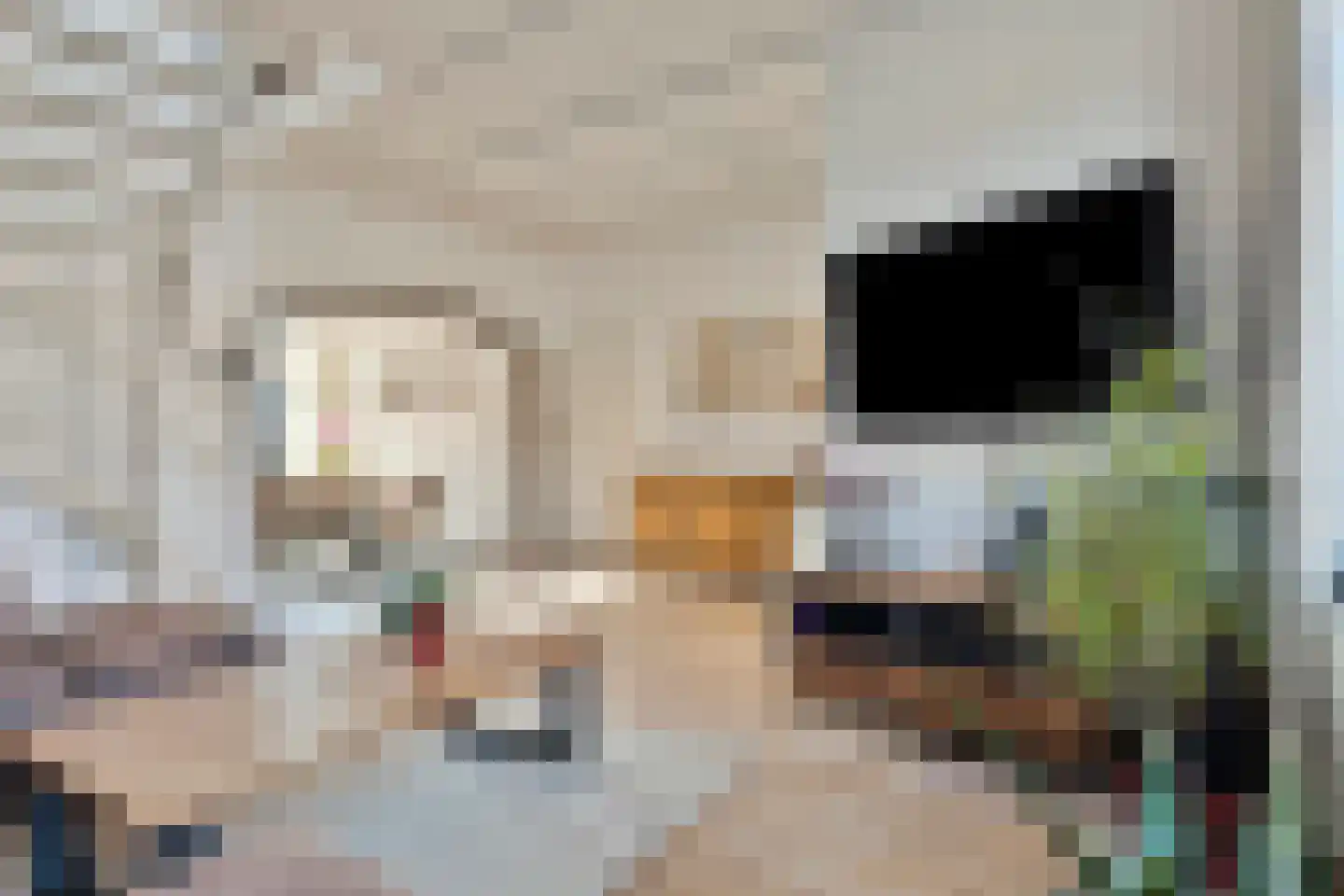 Hogeweg 7 Burgh-Haamstede thumbnail 8