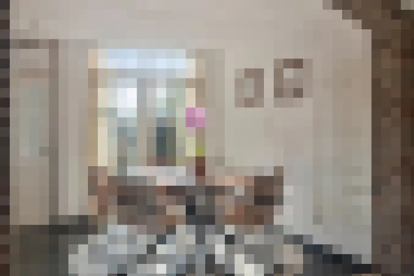 Hogeweg 7 Burgh-Haamstede thumbnail 9