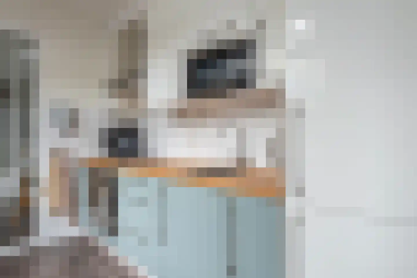 Hogeweg 7 Bussum thumbnail 12