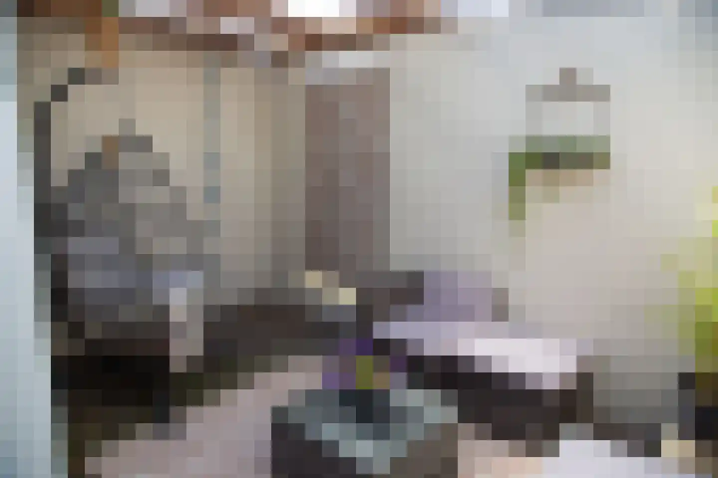 Hogeweg 7 Bussum thumbnail 23