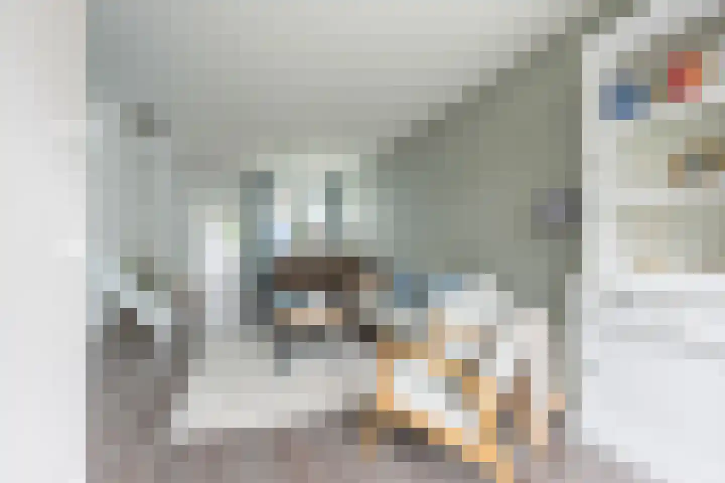 Hogeweg 7 Bussum thumbnail 5