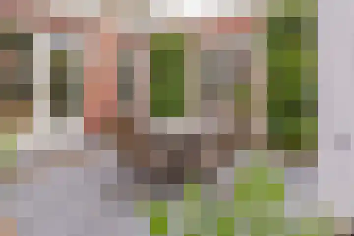 Hogeweg 7 Limmen thumbnail 65