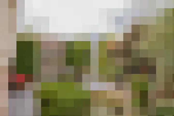Hogeweg 7 Limmen thumbnail 67