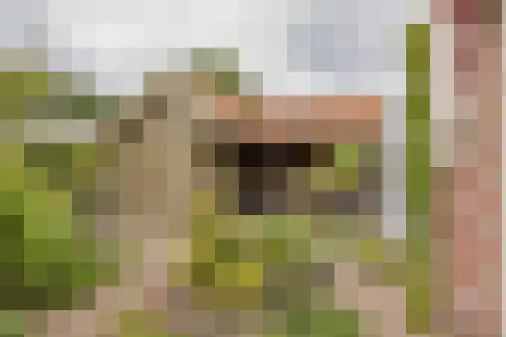 Hogeweg 7 Limmen thumbnail 68