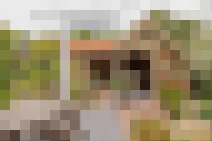 Hogeweg 7 Limmen thumbnail 69