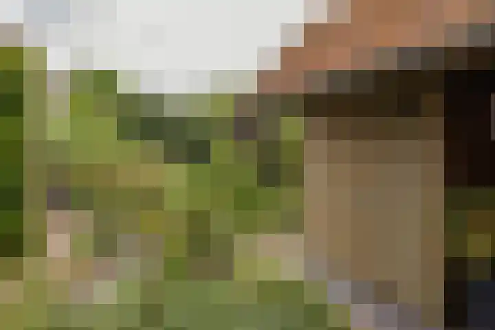 Hogeweg 7 Limmen thumbnail 73