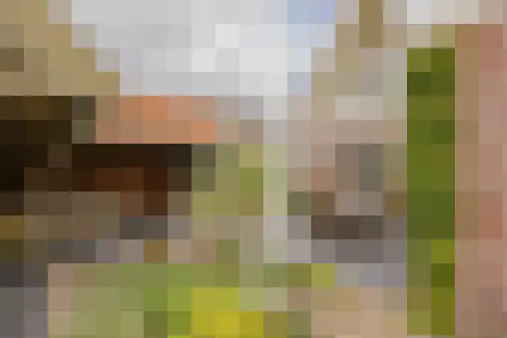 Hogeweg 7 Limmen thumbnail 77