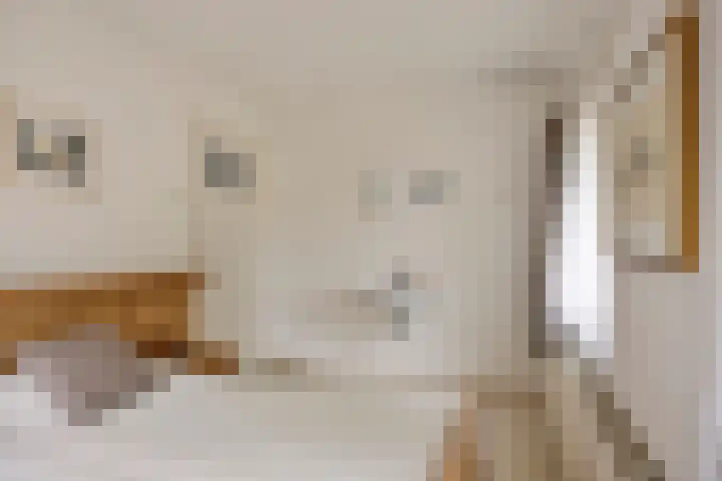 Hogeweg 7 Ommel thumbnail 32