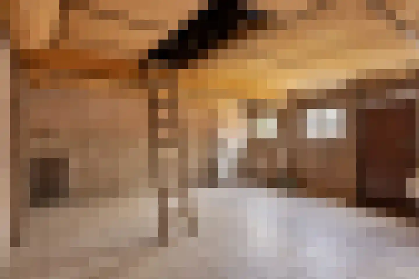 Hogeweg 7 Ommel thumbnail 46