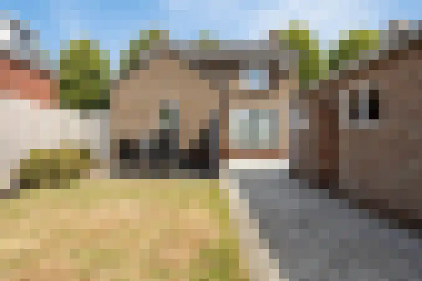 Hogeweg 7 Ommel thumbnail 47