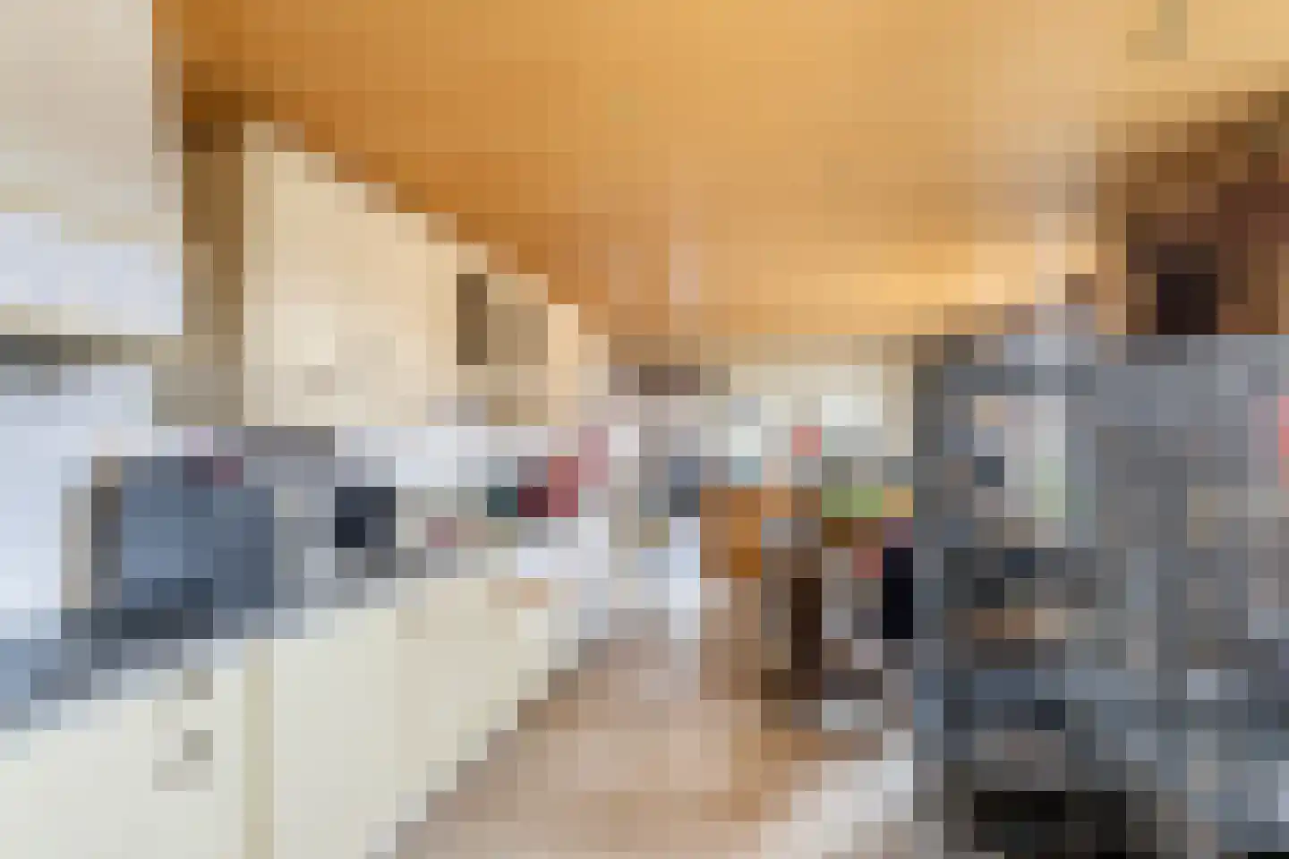 Hogeweg 7 Poortvliet thumbnail 12