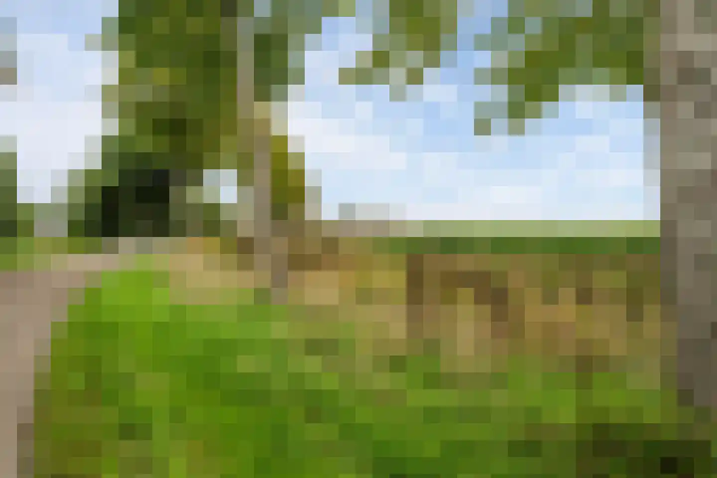 Hogeweg 7 Poortvliet thumbnail 14