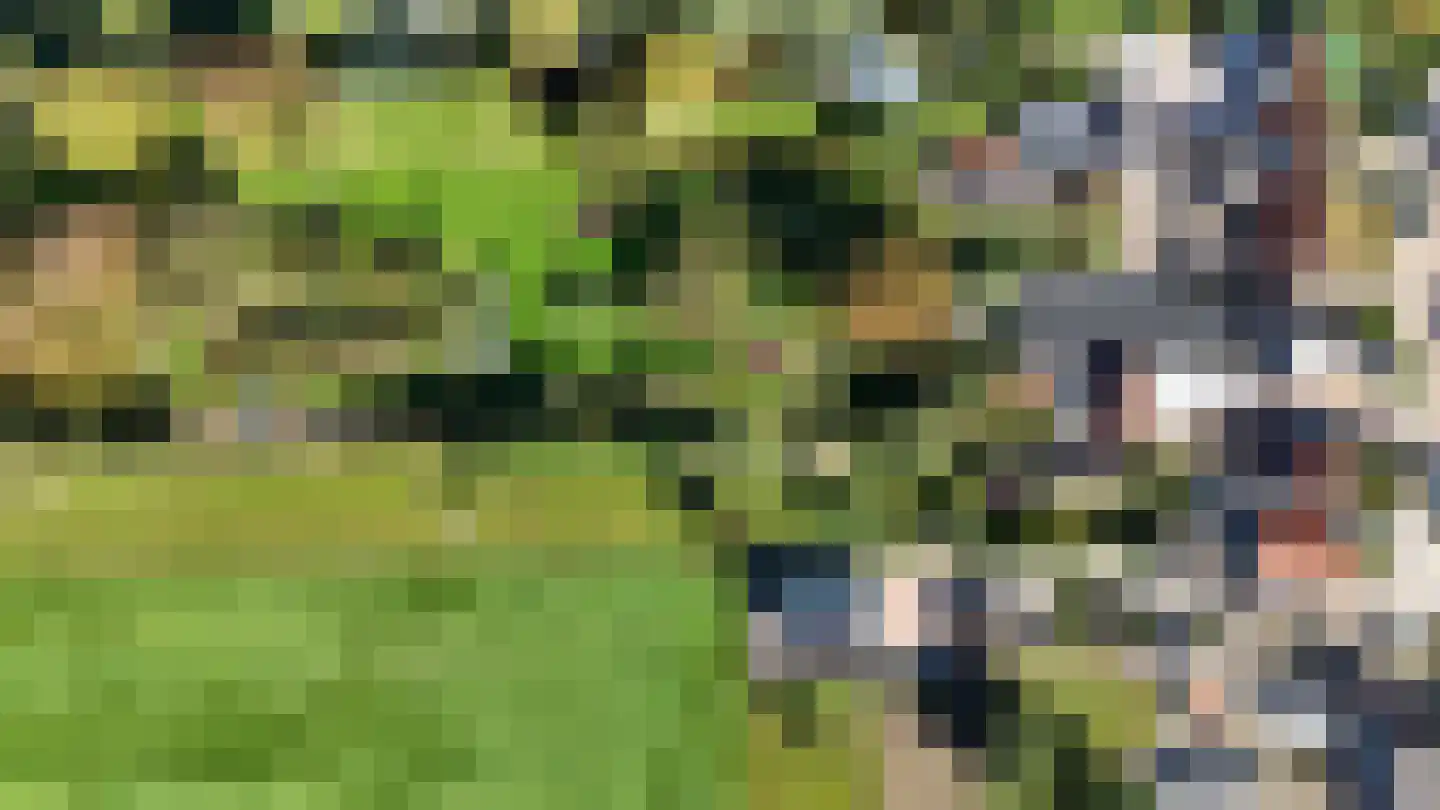 Hogeweg 7 Poortvliet thumbnail 15