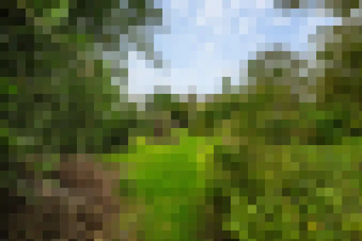 Hogeweg 7 Poortvliet thumbnail 4