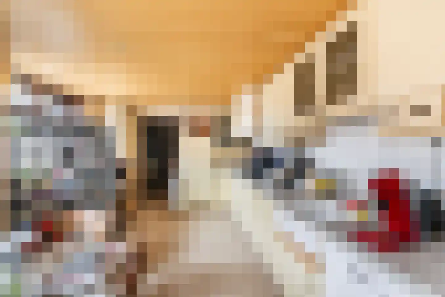 Hogeweg 7 Poortvliet thumbnail 7