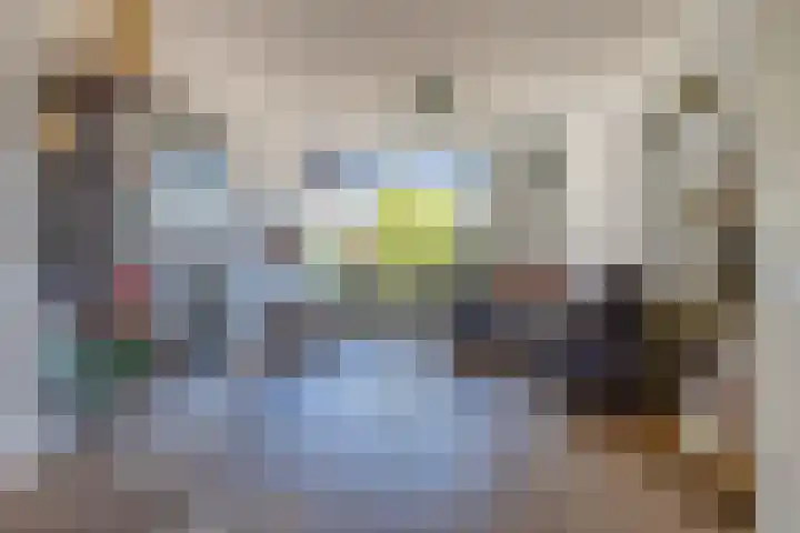 Hogeweg 7 Wijk aan Zee thumbnail 10