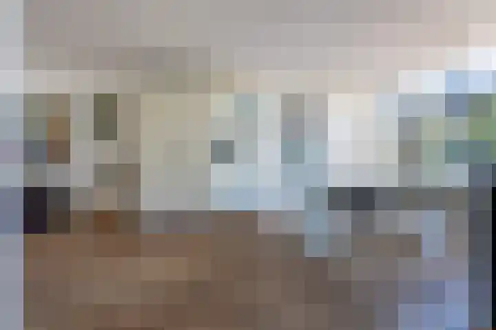 Hogeweg 7 Wijk aan Zee thumbnail 11