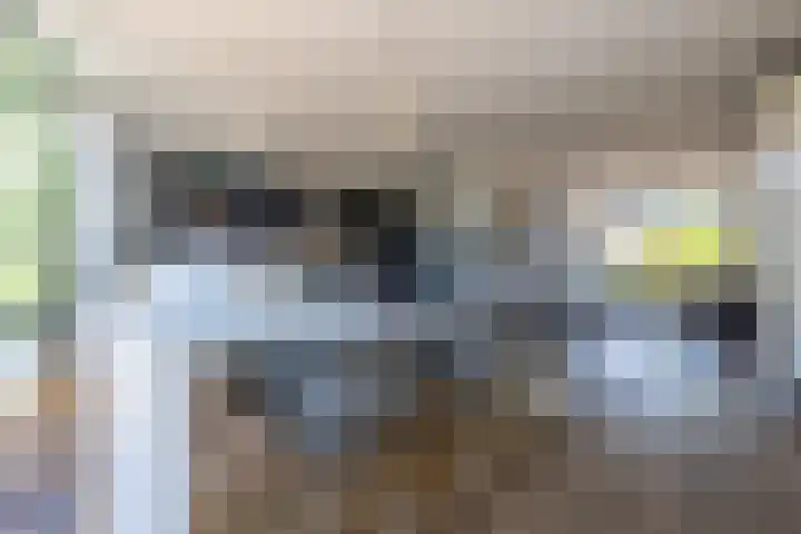 Hogeweg 7 Wijk aan Zee thumbnail 13